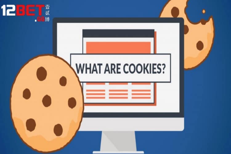 Nắm rõ các điều khoản về sử dụng Cookies truy dấu